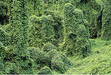 《流放之路》制作人中国行：一周三城，直面玩家提问