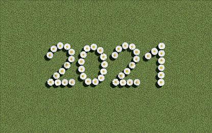 任天堂Switch 2主机屏幕保护膜在阿里巴巴泄露