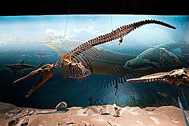 《F1》开发商Codemasters被EA裁员